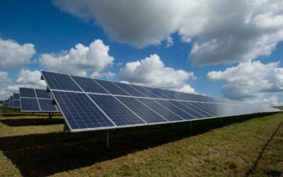 Investor plans solar park with 24,000 modules