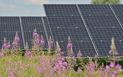 Solarpark – das ist bislang bekannt