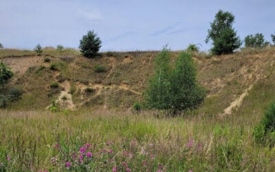 3.5 megawatt solar park Hödingen in planning