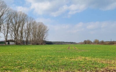 Solarpark Utzedel