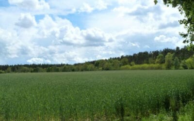 Full steam ahead: Green power in Lüneburg County