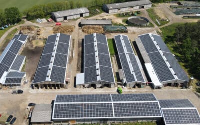 Kunde der securenergy, Agrar Planetal Lütte aus Bad Belzig erzeugt Solarstrom mit Qualitätskomponenten von Q CELLS