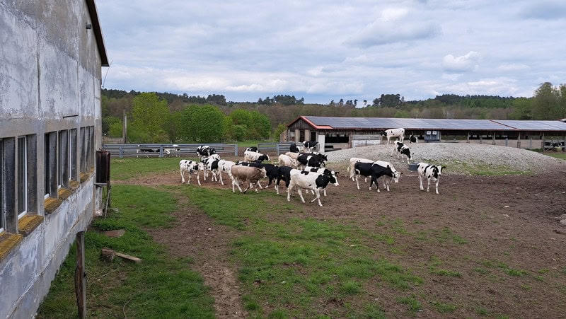 Neue Solaranlage in Raben Neue Solaranlage in Raben